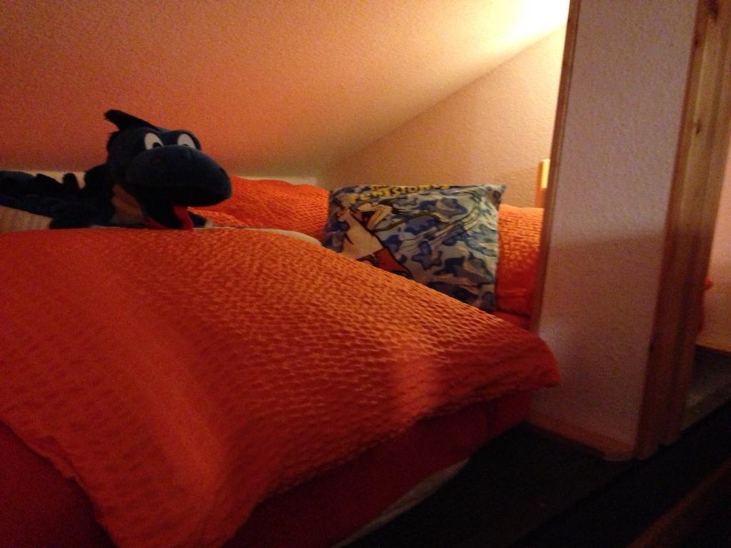 Das Loreley Weinstuebchen ザンクト・ゴアールスハウゼン 部屋 写真