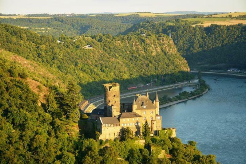 Das Loreley Weinstuebchen ザンクト・ゴアールスハウゼン エクステリア 写真